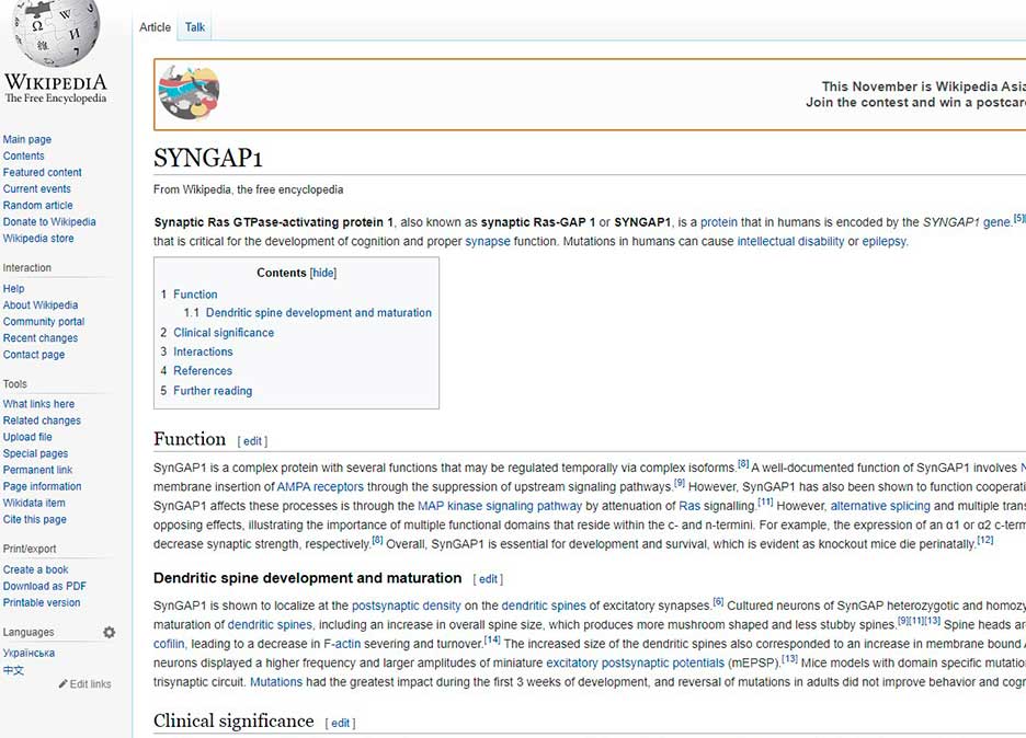 syngap_wiki_1